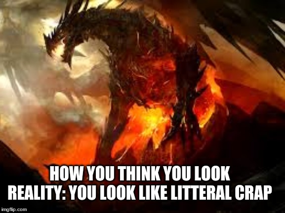 How you think you look | HOW YOU THINK YOU LOOK
REALITY: YOU LOOK LIKE LITTERAL CRAP | image tagged in funny,dragon | made w/ Imgflip meme maker