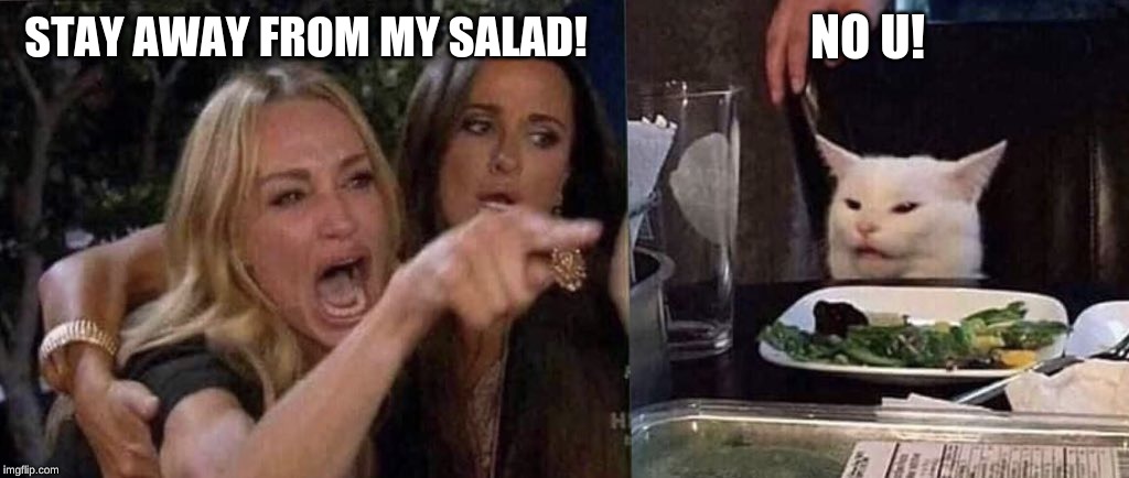 woman yelling at cat | NO U! STAY AWAY FROM MY SALAD! | image tagged in woman yelling at cat | made w/ Imgflip meme maker