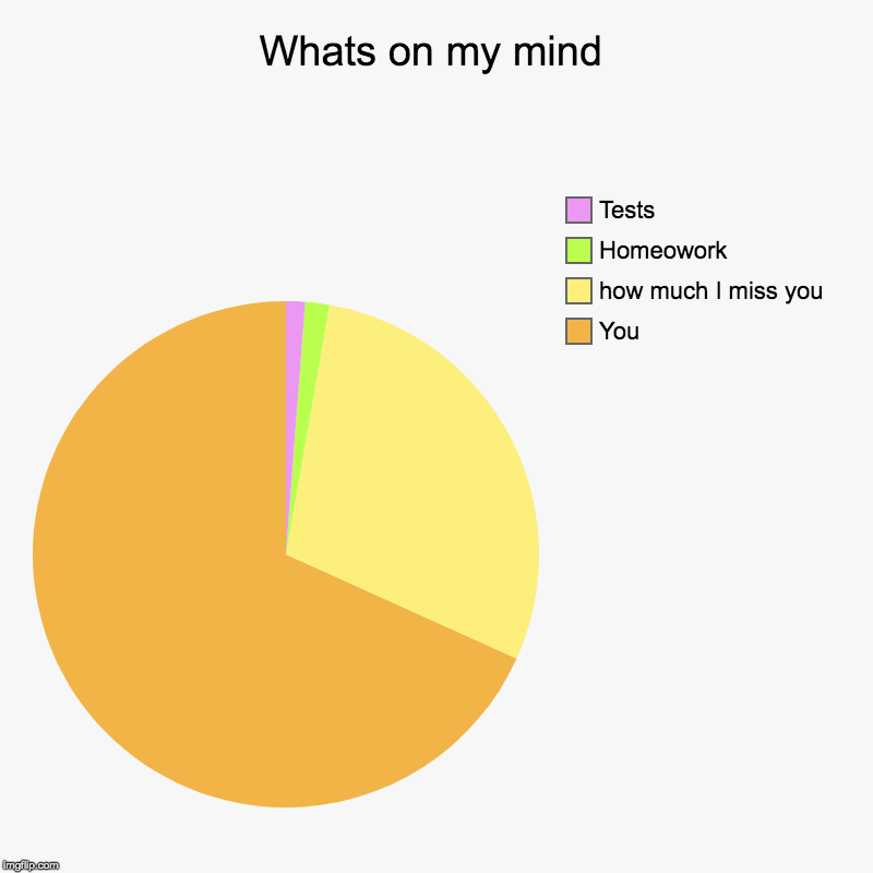 Whats on my mind | You, how much I miss you, Homeowork, Tests | image tagged in charts,pie charts,wholesome,i love you | made w/ Imgflip chart maker