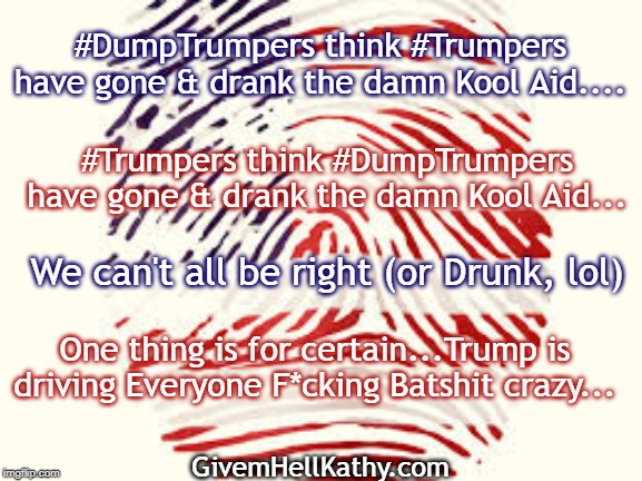 Trump is driving everyone F*cking Batshit Crazy | #DumpTrumpers think #Trumpers have gone & drank the damn Kool Aid.... #Trumpers think #DumpTrumpers have gone & drank the damn Kool Aid... We can't all be right (or Drunk, lol); One thing is for certain...Trump is driving Everyone F*cking Batshit crazy... GivemHellKathy.com | image tagged in donald trump,we the people | made w/ Imgflip meme maker