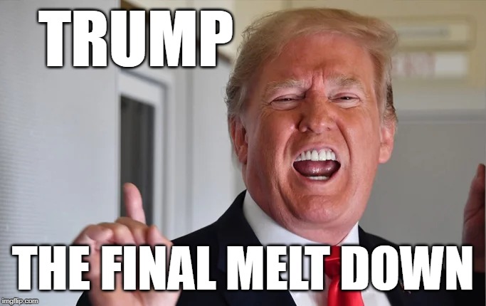 Trump melt down | TRUMP; THE FINAL MELT DOWN | image tagged in trump melt down | made w/ Imgflip meme maker