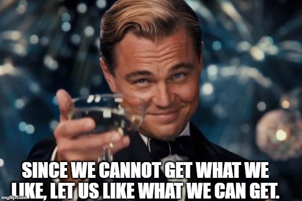 Leonardo Dicaprio Cheers Meme | SINCE WE CANNOT GET WHAT WE LIKE, LET US LIKE WHAT WE CAN GET. | image tagged in memes,leonardo dicaprio cheers | made w/ Imgflip meme maker