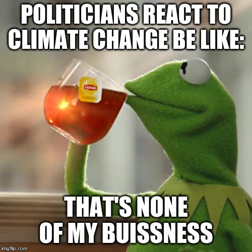 But That's None Of My Business | POLITICIANS REACT TO CLIMATE CHANGE BE LIKE:; THAT'S NONE OF MY BUISSNESS | image tagged in memes,but thats none of my business,kermit the frog | made w/ Imgflip meme maker