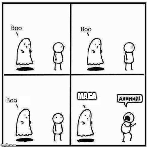 Ghost Boo | MAGA | image tagged in ghost boo | made w/ Imgflip meme maker