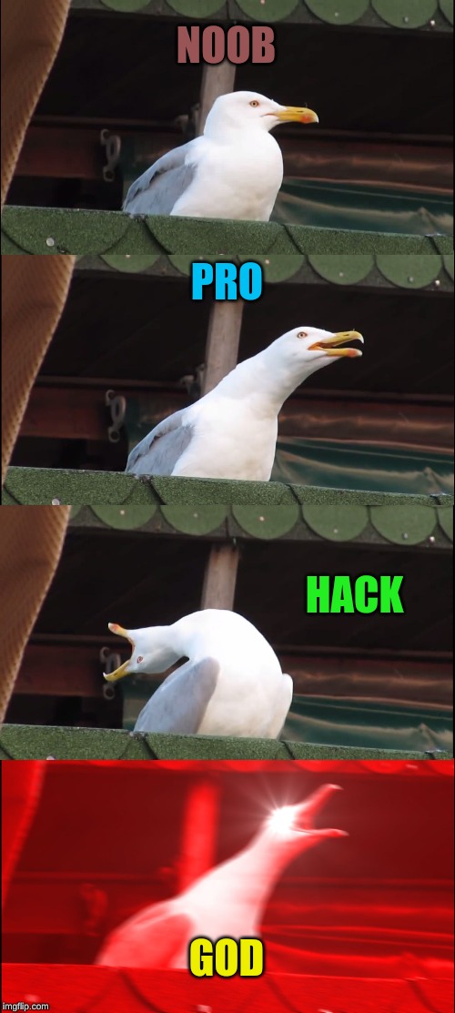 Inhaling Seagull | NOOB; PRO; HACK; GOD | image tagged in memes,inhaling seagull | made w/ Imgflip meme maker