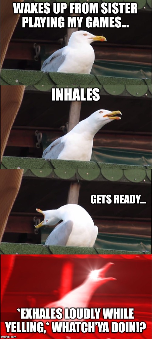 Inhaling Seagull Meme | WAKES UP FROM SISTER PLAYING MY GAMES... INHALES; GETS READY... *EXHALES LOUDLY WHILE YELLING,* WHATCH’YA DOIN!? | image tagged in memes,inhaling seagull | made w/ Imgflip meme maker