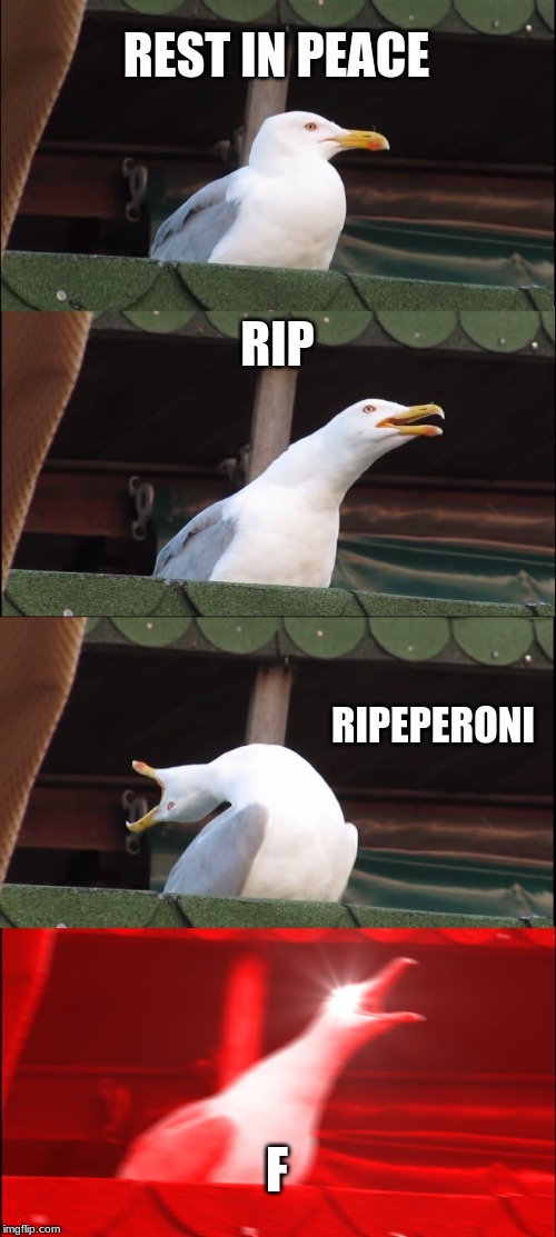 Inhaling Seagull | REST IN PEACE; RIP; RIPEPERONI; F | image tagged in memes,inhaling seagull | made w/ Imgflip meme maker