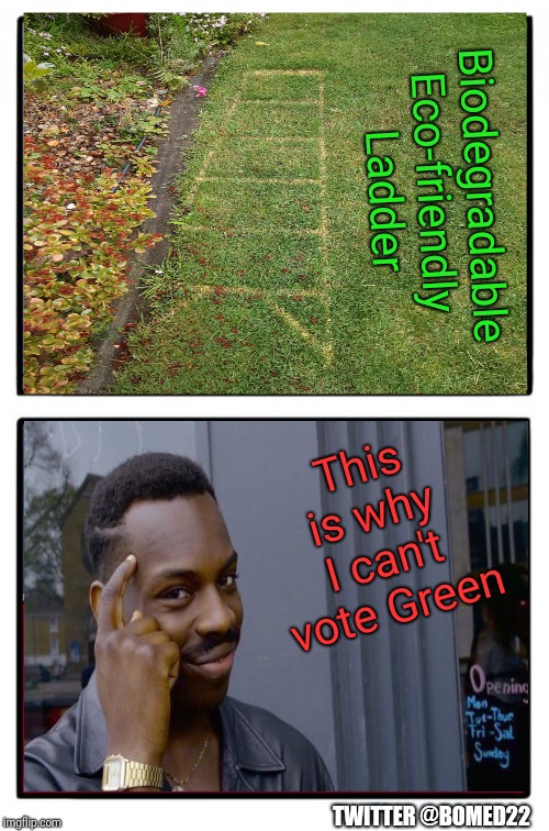 Eco-Ladder -I respect you guys but..... | Biodegradable Eco-friendly 
Ladder; This is why I can't vote Green; TWITTER @BOMED22 | image tagged in roll safe think about it,two buttons,vote,green party,dope,ladder | made w/ Imgflip meme maker