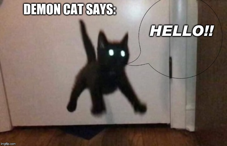 Demon Cat says | HELLO!! DEMON CAT SAYS: | image tagged in demon cat says | made w/ Imgflip meme maker