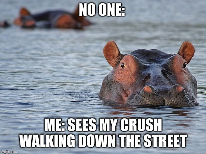 motto motto | NO ONE:; ME: SEES MY CRUSH WALKING DOWN THE STREET | image tagged in funny | made w/ Imgflip meme maker