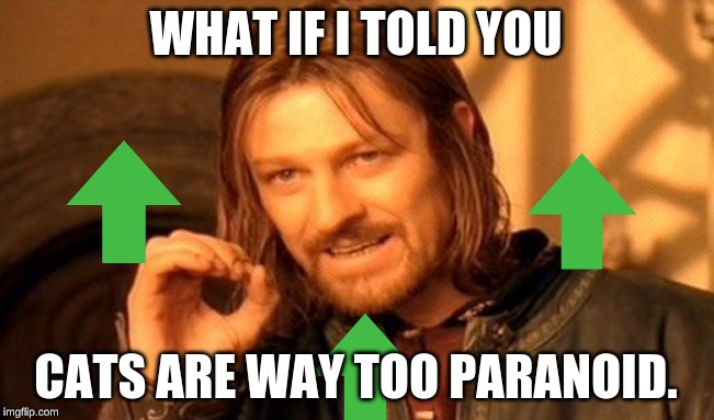 One Does Not Simply Meme | WHAT IF I TOLD YOU CATS ARE WAY TOO PARANOID. | image tagged in memes,one does not simply | made w/ Imgflip meme maker