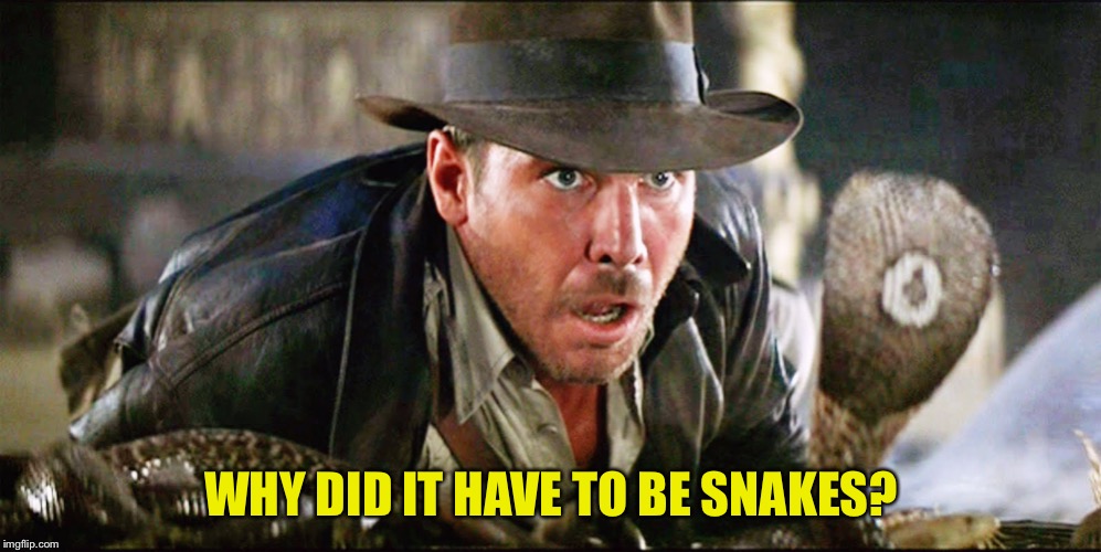 Indiana Jones Snakes | WHY DID IT HAVE TO BE SNAKES? | image tagged in indiana jones snakes | made w/ Imgflip meme maker