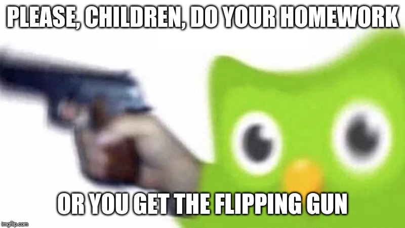 duolingo gun | PLEASE, CHILDREN, DO YOUR HOMEWORK; OR YOU GET THE FLIPPING GUN | image tagged in duolingo gun | made w/ Imgflip meme maker