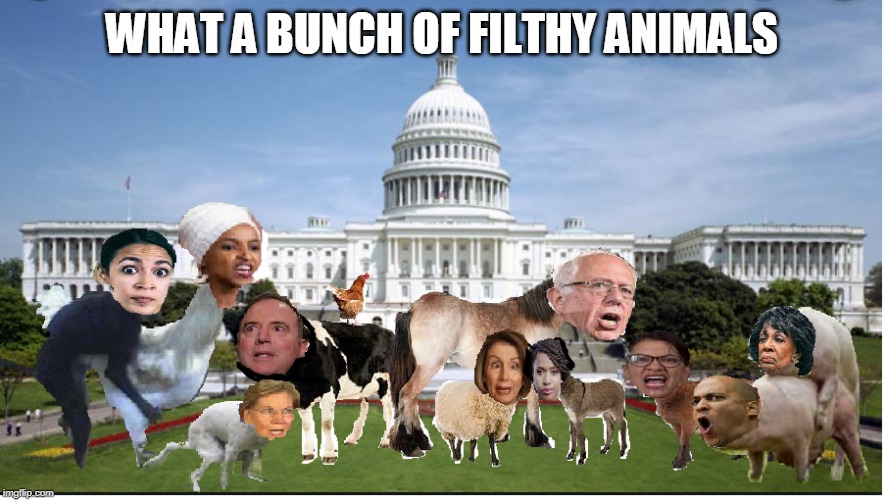 What A Bunch Of Animals Imgflip