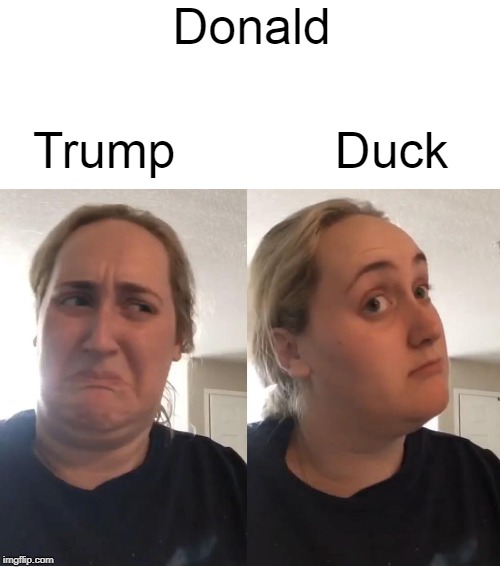 hmm | Donald; Trump; Duck | image tagged in on second thought | made w/ Imgflip meme maker