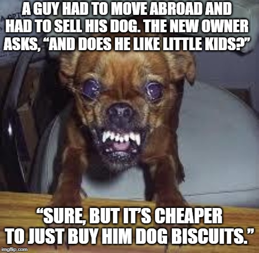 They're Delicious | A GUY HAD TO MOVE ABROAD AND HAD TO SELL HIS DOG. THE NEW OWNER ASKS, “AND DOES HE LIKE LITTLE KIDS?”; “SURE, BUT IT’S CHEAPER TO JUST BUY HIM DOG BISCUITS.” | image tagged in mad dog | made w/ Imgflip meme maker