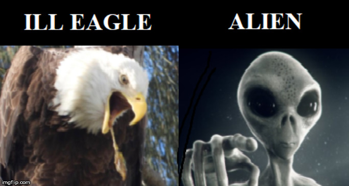 ILL EAGLE......ALIEN | image tagged in ill,eagle,alien,what | made w/ Imgflip meme maker
