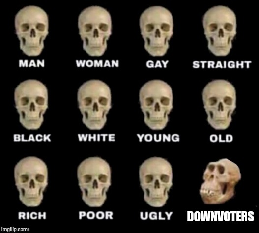 idiot skull | DOWNVOTERS | image tagged in idiot skull | made w/ Imgflip meme maker