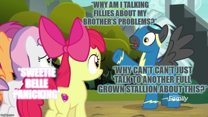 Thunderlane thinks about stuff | *WHY AM I TALKING FILLIES ABOUT MY BROTHER'S PROBLEMS?*; *WHY CAN'T CAN'T JUST TALK TO ANOTHER FULL GROWN STALLION ABOUT THIS?*; *SWEETIE BELLE PANICKING* | image tagged in my little pony friendship is magic | made w/ Imgflip meme maker