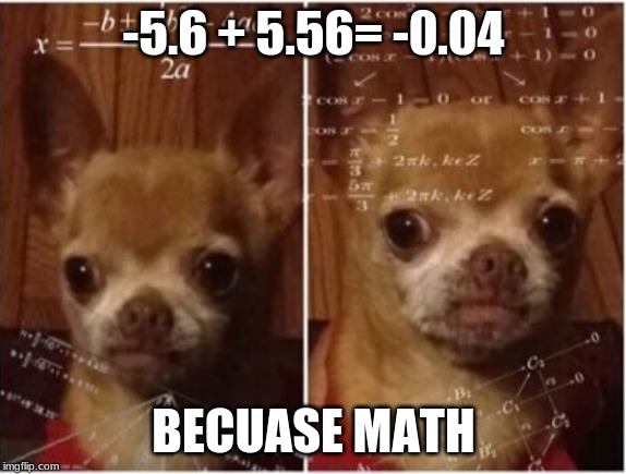 dog math | -5.6 + 5.56= -0.04; BECUASE MATH | image tagged in dog math | made w/ Imgflip meme maker