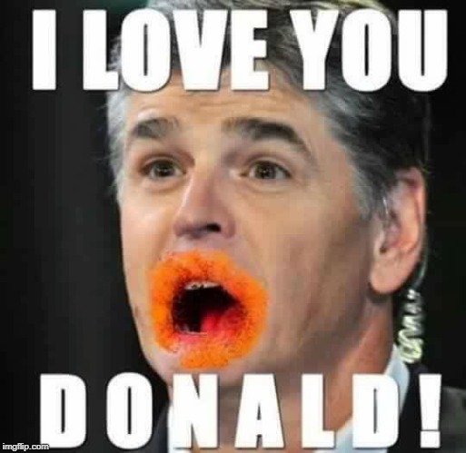 Hannity in his native condition | . | image tagged in hannity in his native condition | made w/ Imgflip meme maker