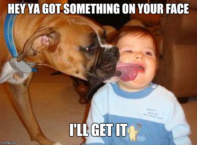 DON'T NEED A TOWEL | HEY YA GOT SOMETHING ON YOUR FACE; I'LL GET IT | image tagged in doge,dogs,baby | made w/ Imgflip meme maker