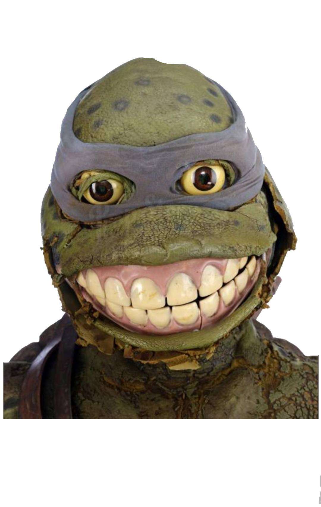 Teenage Methhead Ninja Turtle Blank Meme Template
