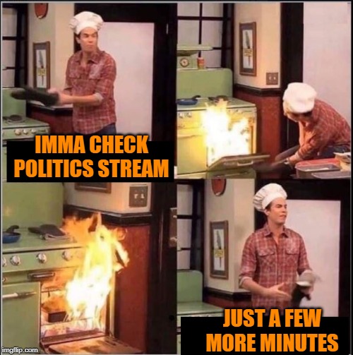Getting hot in here! | IMMA CHECK POLITICS STREAM; JUST A FEW MORE MINUTES | image tagged in fire,oven,politics | made w/ Imgflip meme maker