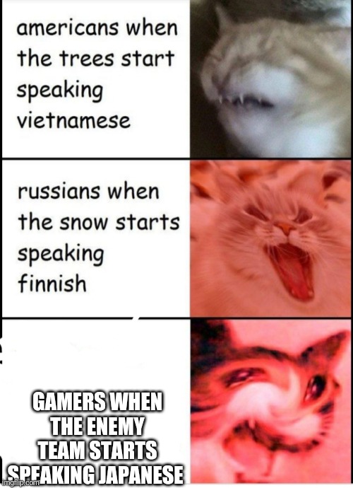 Screaming cats | GAMERS WHEN THE ENEMY TEAM STARTS SPEAKING JAPANESE | image tagged in screaming cats | made w/ Imgflip meme maker