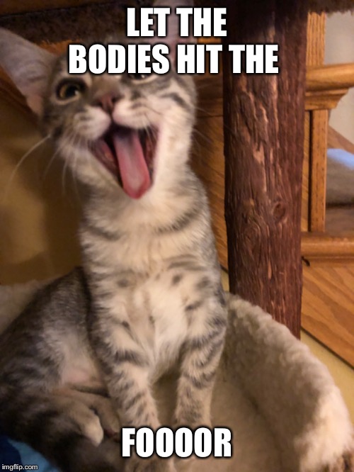 LET THE BODIES HIT THE; FOOOOR | image tagged in happy cat,metal | made w/ Imgflip meme maker