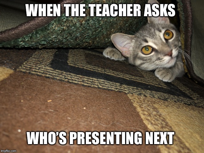 Smug cat | WHEN THE TEACHER ASKS; WHO’S PRESENTING NEXT | image tagged in smug cat | made w/ Imgflip meme maker