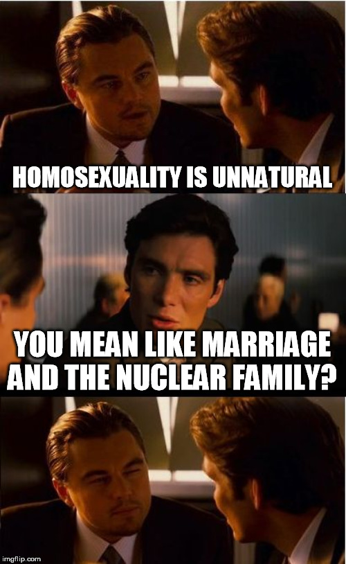 Inception Meme | HOMOSEXUALITY IS UNNATURAL; YOU MEAN LIKE MARRIAGE AND THE NUCLEAR FAMILY? | image tagged in memes,inception,homosexuality,family values,natural is good,conservative logic | made w/ Imgflip meme maker
