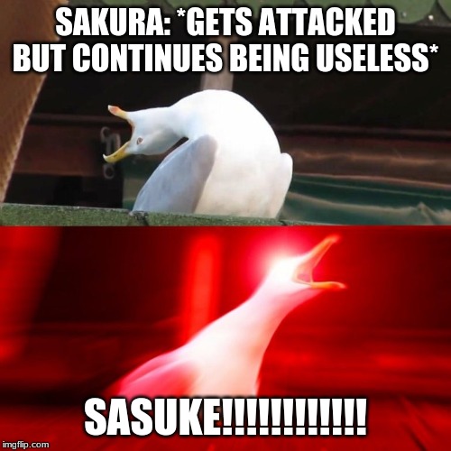 BOY seagull | SAKURA: *GETS ATTACKED BUT CONTINUES BEING USELESS*; SASUKE!!!!!!!!!!!! | image tagged in boy seagull | made w/ Imgflip meme maker