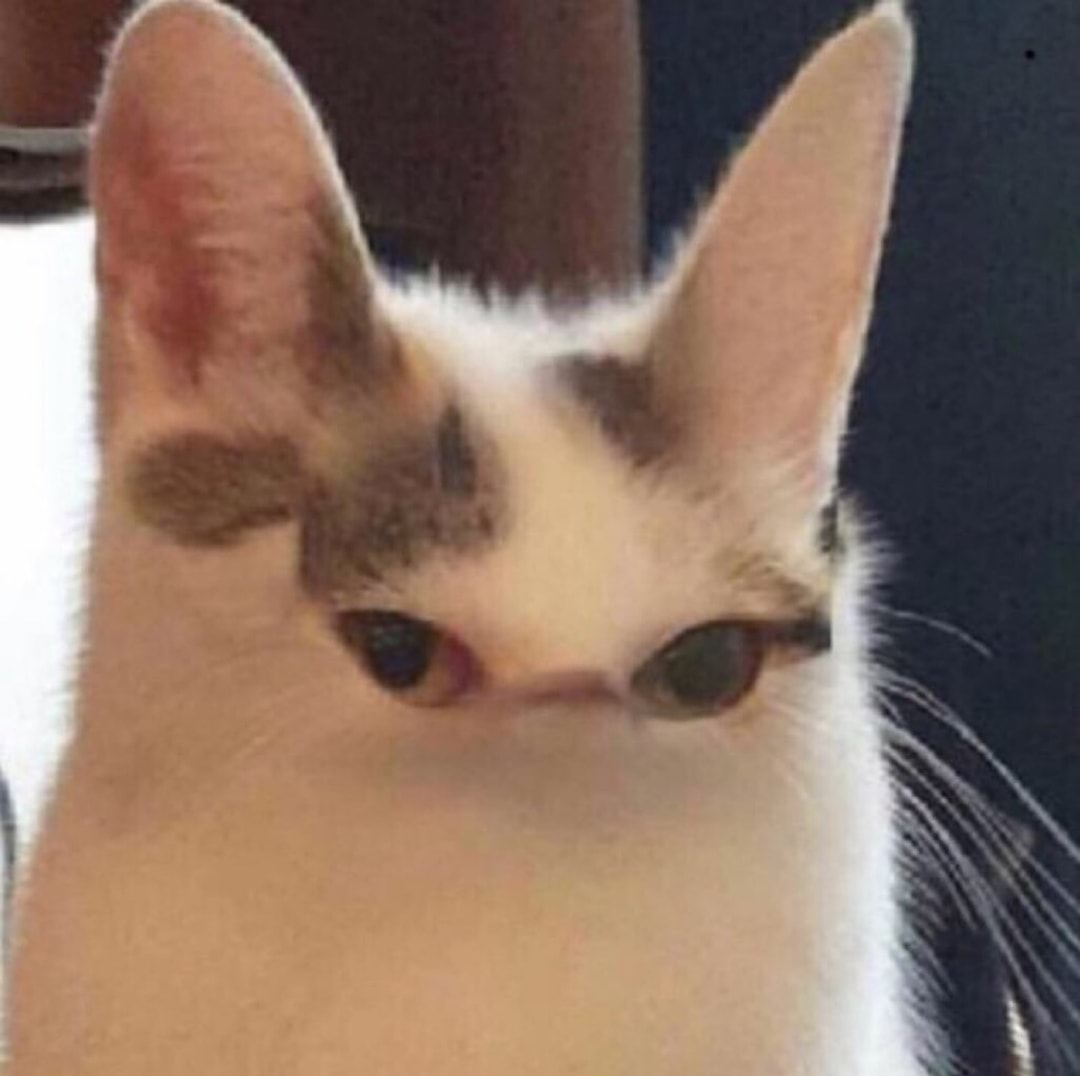 Mine goodeth sir Blank Meme Template
