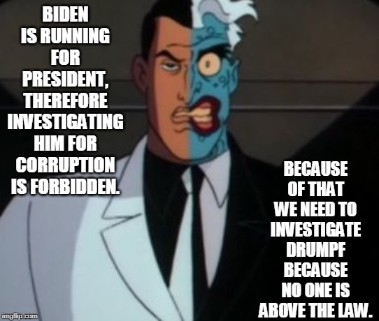 two face | BIDEN IS RUNNING FOR PRESIDENT, THEREFORE INVESTIGATING HIM FOR CORRUPTION IS FORBIDDEN. BECAUSE OF THAT WE NEED TO INVESTIGATE DRUMPF BECAU | image tagged in two face | made w/ Imgflip meme maker