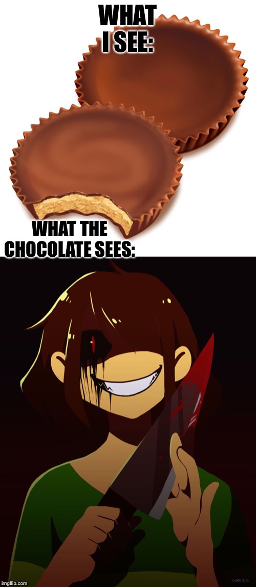 WHAT I SEE:; WHAT THE CHOCOLATE SEES: | image tagged in all of it | made w/ Imgflip meme maker