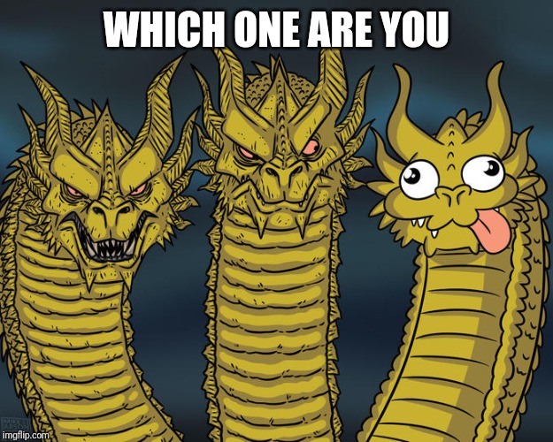 Three-headed Dragon | WHICH ONE ARE YOU | image tagged in three-headed dragon | made w/ Imgflip meme maker