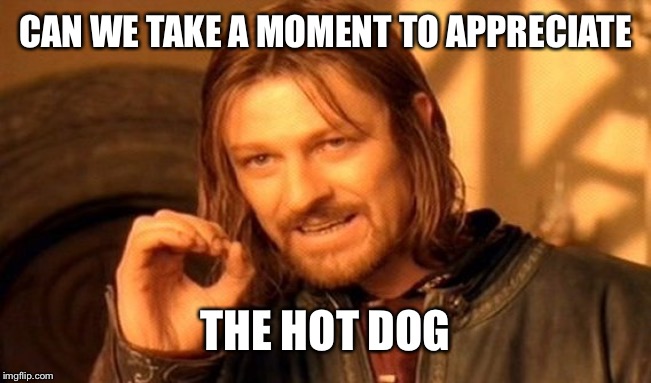 One Does Not Simply Meme | CAN WE TAKE A MOMENT TO APPRECIATE THE HOT DOG | image tagged in memes,one does not simply | made w/ Imgflip meme maker