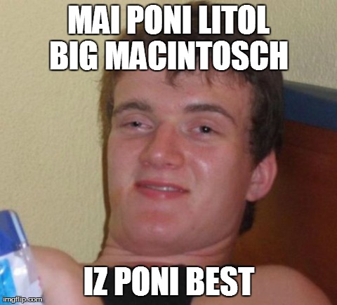 10 Guy Meme | MAI PONI LITOL BIG MACINTOSCH  IZ PONI BEST | image tagged in memes,10 guy | made w/ Imgflip meme maker