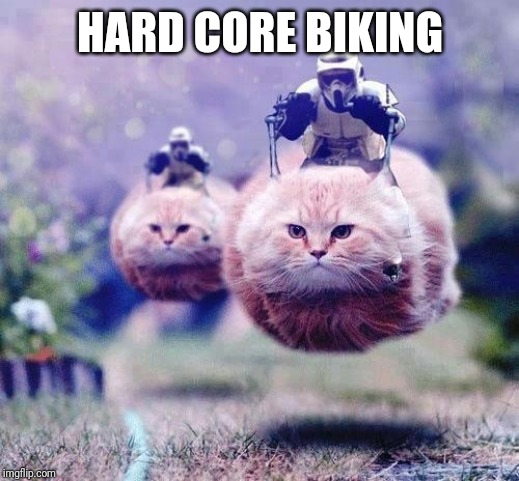 Storm Trooper Cats | HARD CORE BIKING | image tagged in storm trooper cats | made w/ Imgflip meme maker