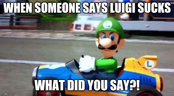 Luigi Death Stare | WHEN SOMEONE SAYS LUIGI SUCKS; WHAT DID YOU SAY?! | image tagged in luigi death stare | made w/ Imgflip meme maker