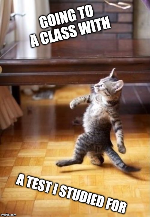 Cool Cat Stroll Meme | GOING TO A CLASS WITH; A TEST I STUDIED FOR | image tagged in memes,cool cat stroll | made w/ Imgflip meme maker