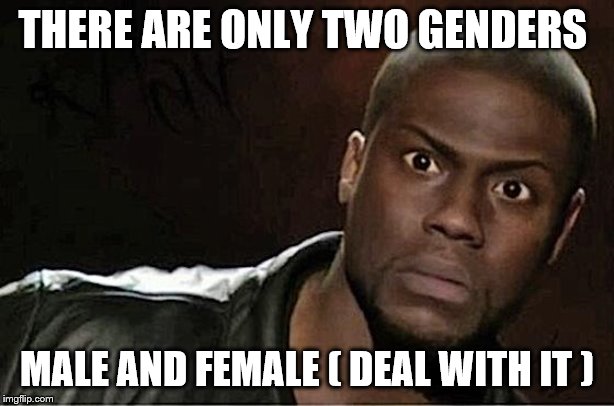 Kevin Hart | THERE ARE ONLY TWO GENDERS; MALE AND FEMALE ( DEAL WITH IT ) | image tagged in memes,kevin hart | made w/ Imgflip meme maker