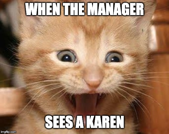 Excited Cat Meme | WHEN THE MANAGER; SEES A KAREN | image tagged in memes,excited cat | made w/ Imgflip meme maker