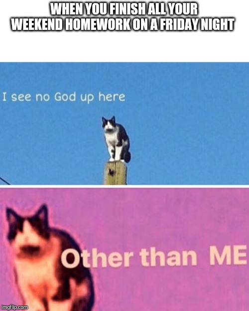 Hail pole cat | WHEN YOU FINISH ALL YOUR WEEKEND HOMEWORK ON A FRIDAY NIGHT | image tagged in hail pole cat | made w/ Imgflip meme maker