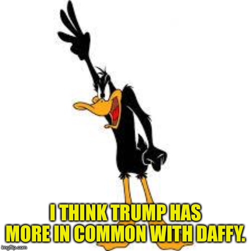 daffy duck demanding | I THINK TRUMP HAS MORE IN COMMON WITH DAFFY. | image tagged in daffy duck demanding | made w/ Imgflip meme maker