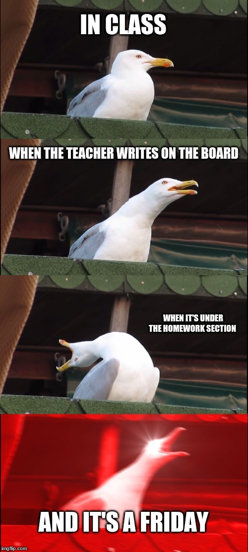 Inhaling Seagull | IN CLASS; WHEN THE TEACHER WRITES ON THE BOARD; WHEN IT'S UNDER THE HOMEWORK SECTION; AND IT'S A FRIDAY | image tagged in memes,inhaling seagull | made w/ Imgflip meme maker