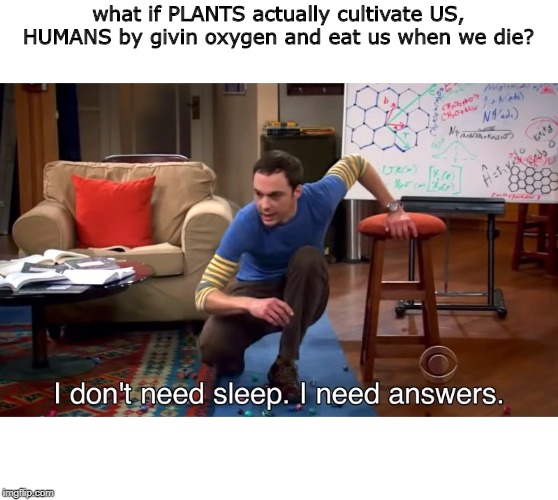 I don't need sleep I need answers | what if PLANTS actually cultivate US, HUMANS by givin oxygen and eat us when we die? | image tagged in i don't need sleep i need answers | made w/ Imgflip meme maker