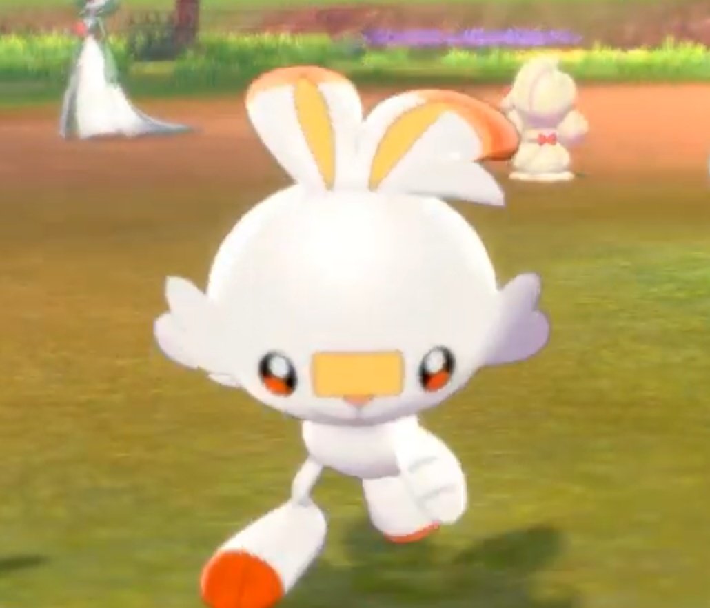 Scorbunny gonna finna kill u Blank Meme Template