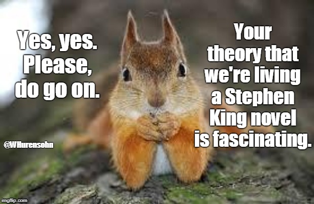 Your theory that we're living a Stephen King novel is fascinating. | image tagged in squirrel,stephen king | made w/ Imgflip meme maker